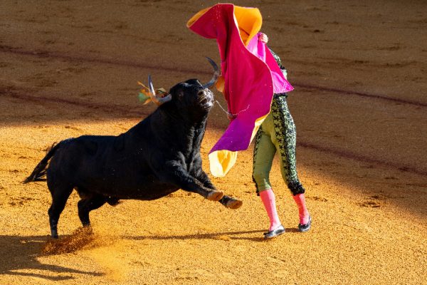 The Anatomy of a Crypto Bull Market