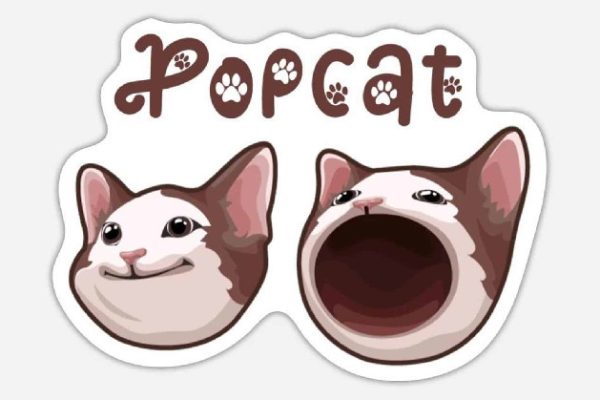Bearish Signal for POPCAT: Price Could Fall by 15%, Here’s Why