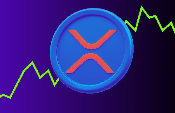 Countdown to SEC Appeal: What It Means for Ripple and XRP